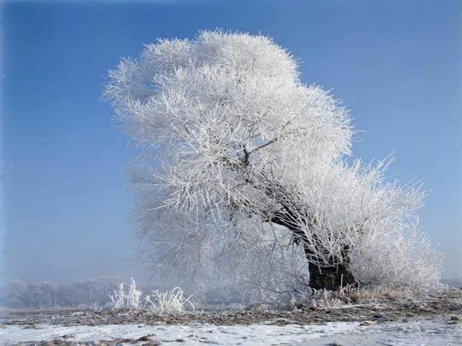 鲁迅《雪》课件(38页)_第5页