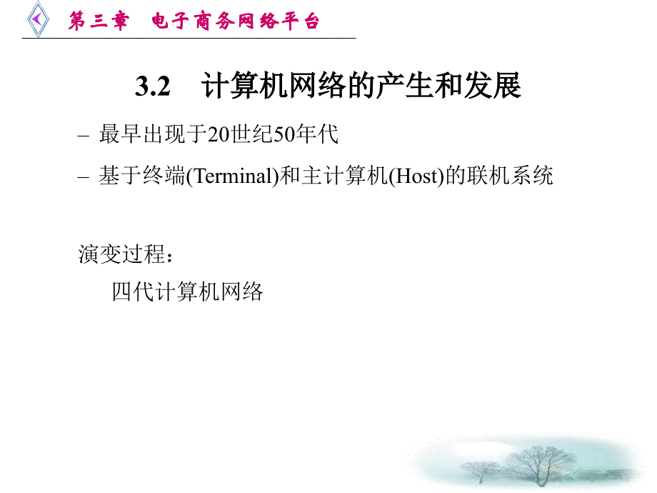 电子商务教学课件-第三章 电子商务网络平台_第3页