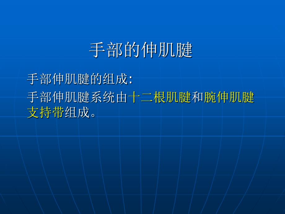 手部伸肌腱的解剖应用伸肌腱的分区_第2页