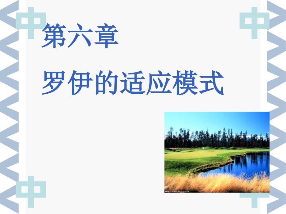罗伊的适应模式90315_第1页