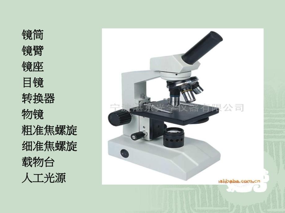 生物  高倍显微镜的使用_第3页