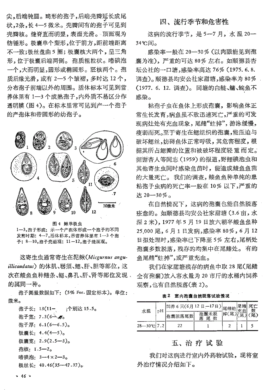 广东鲮鱼鱼种的粘孢子虫病_第4页
