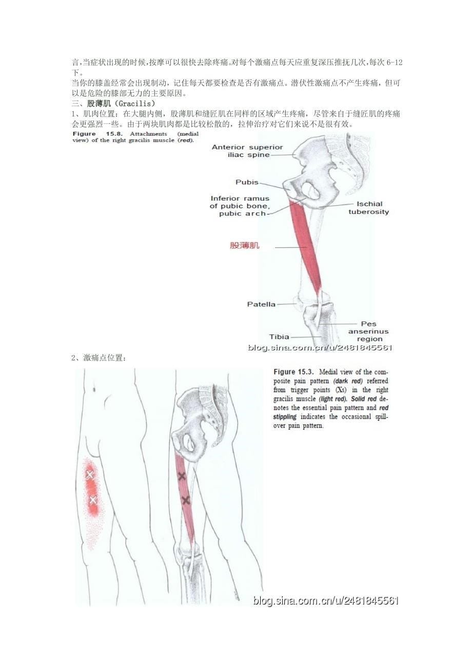 激痛点和肌肉疼痛自我按摩治疗(30)------大腿内侧痛_第5页