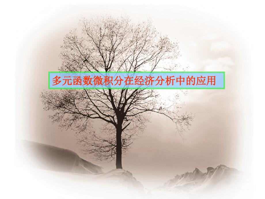 多元函数微积分在经济分析中的应用.ppt_第1页