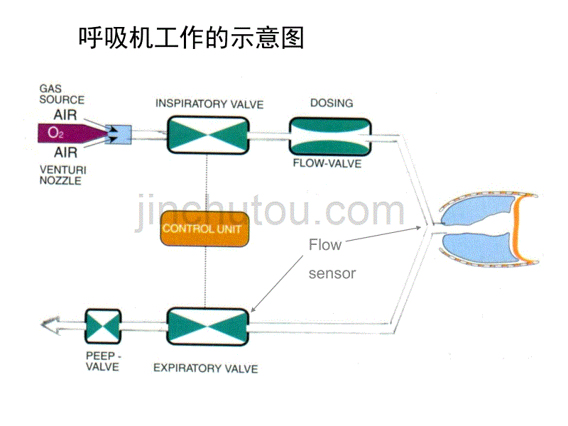 机械通气波形ABC1_第2页