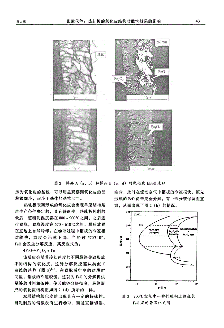 热轧板的氧化皮结构对酸洗效果的影响_第3页