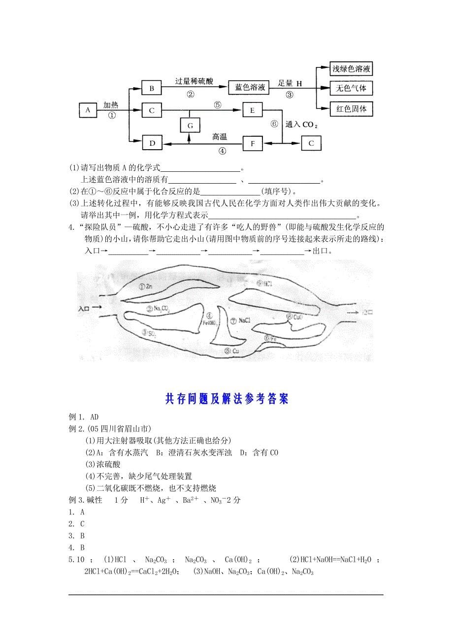 中考化学《共存、除杂与相互转化》_第5页