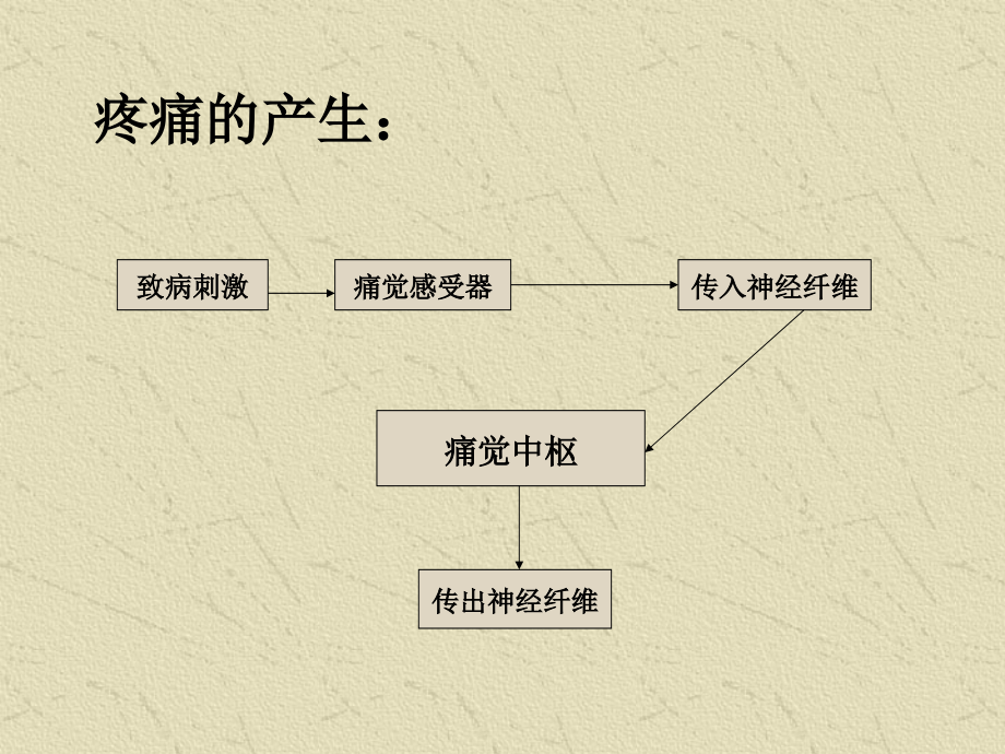 急性腹痛诊断思路_第3页