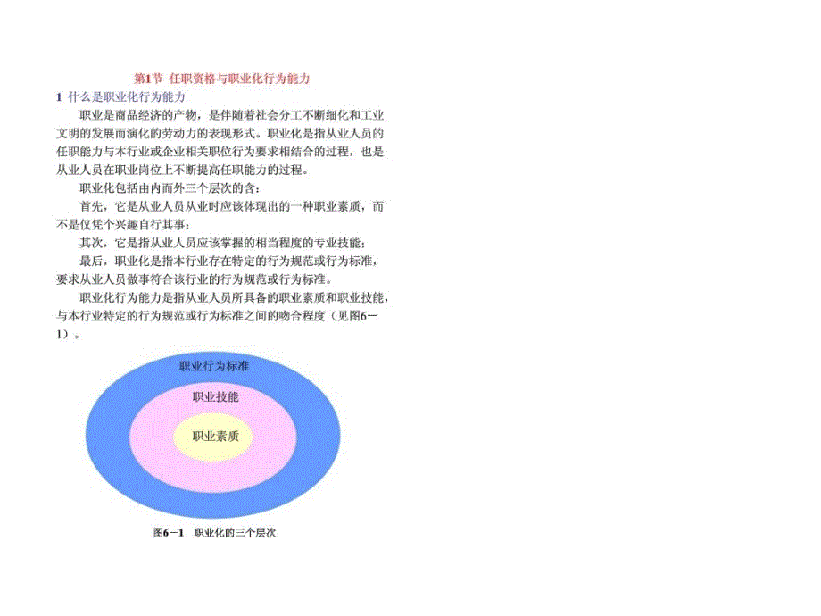 人力资源管理第6章职业化行为能力评价系统_第2页