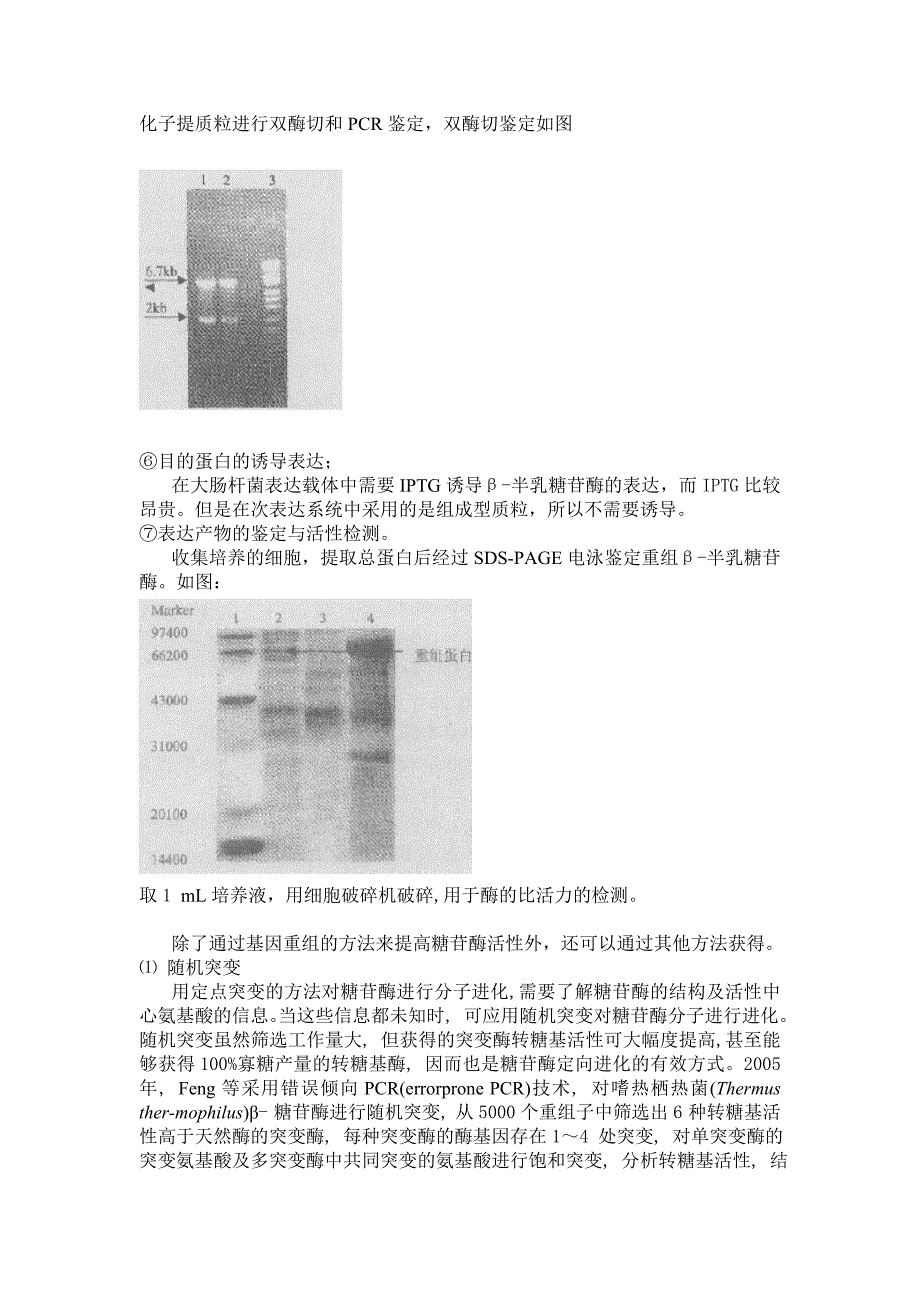 糖苷酶基因工程及应用_第3页