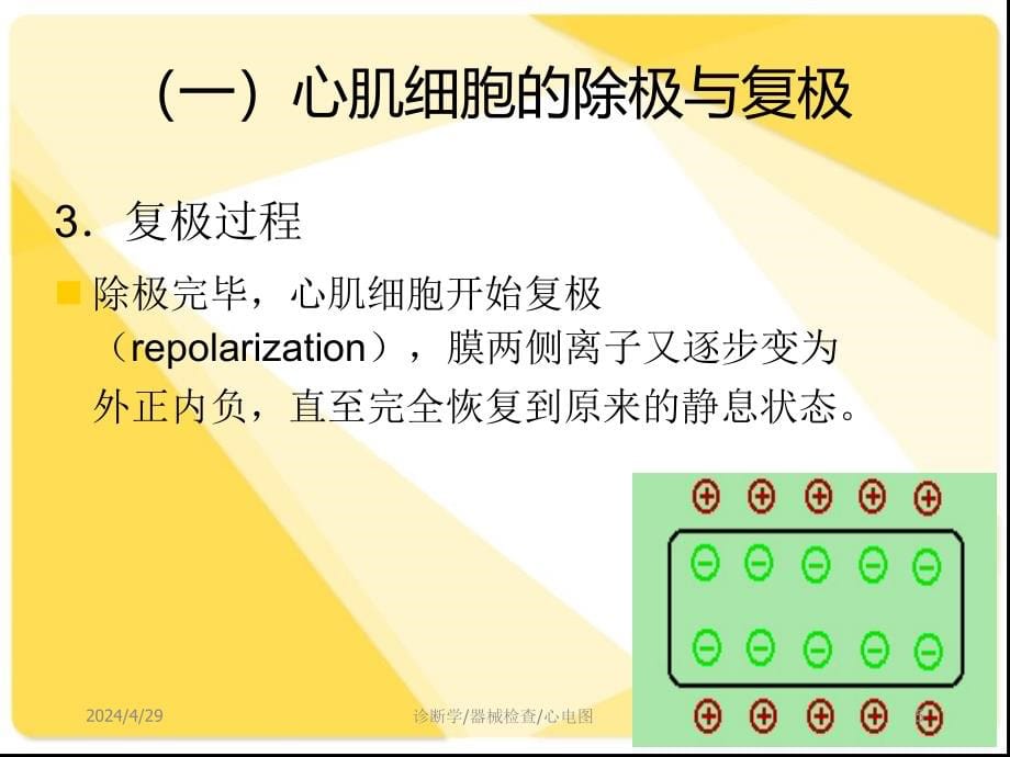 心电图的基本知识正式版课件_第5页