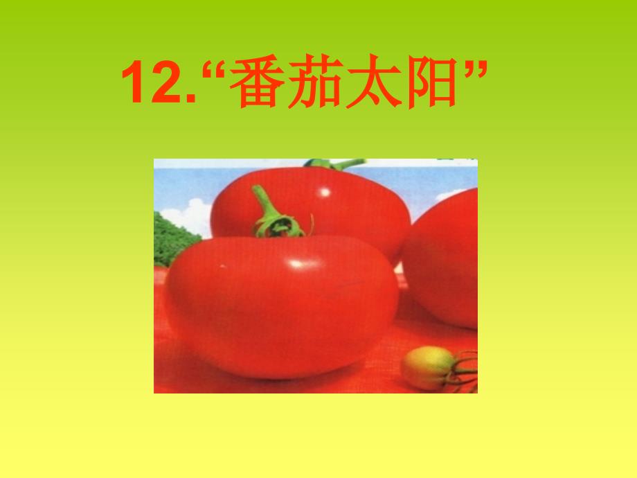 四年级下册《“番茄太阳”》课件02_第3页