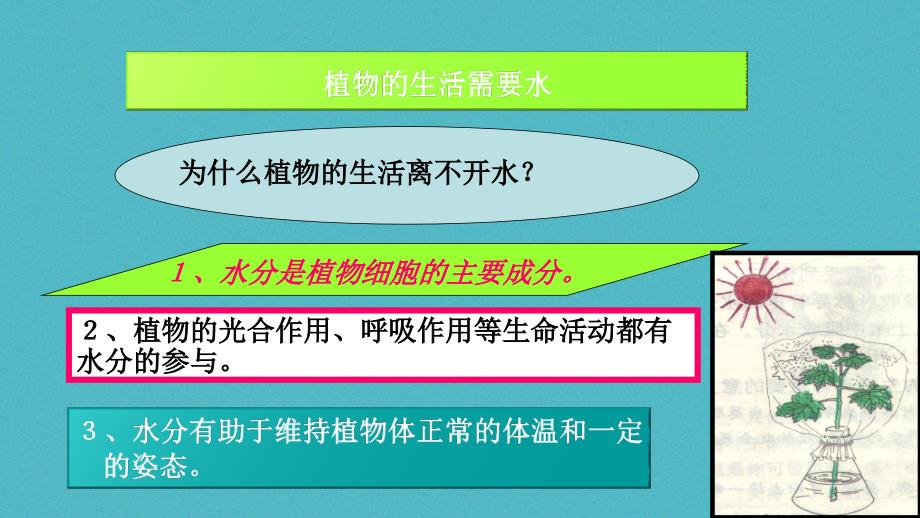 七年级生物上册3.5.3植物生长需要水和无机盐课件（新版）苏教版_第2页