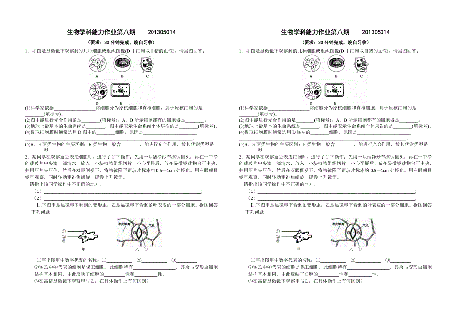 生物作业每日练  生物能力作业第八期及答案_第1页