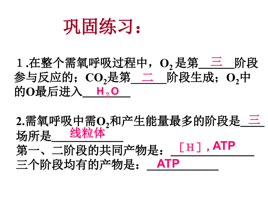 生物必修一第三章第四节细胞呼吸第2-3课时_第2页