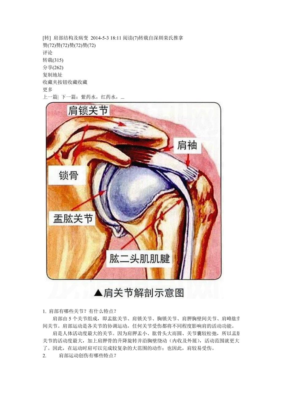 肩部结构及病变_第1页