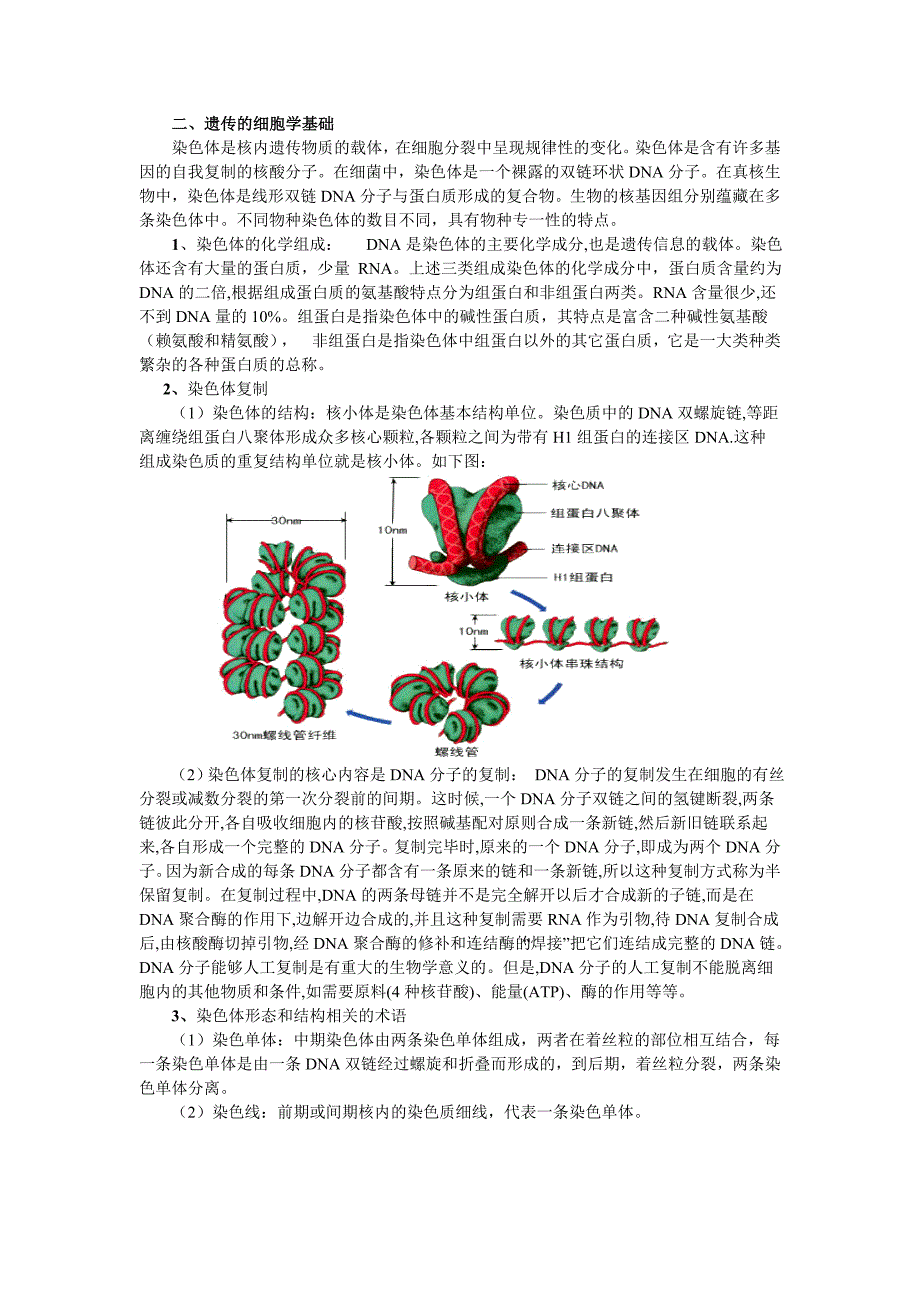 奥赛辅导：细胞增殖与遗传_第2页