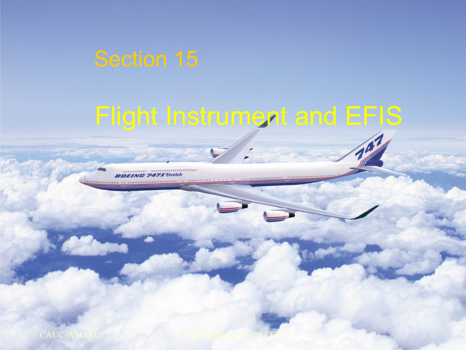 B737电子飞行仪表系统_第1页