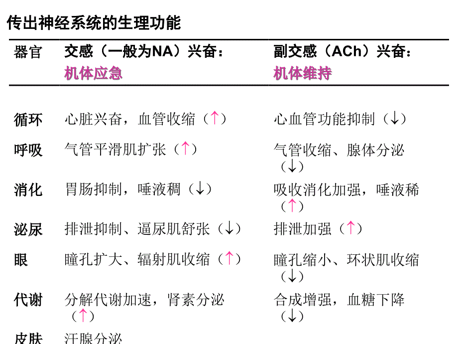 外周神经系统药理_第4页