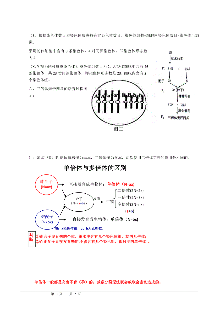 高三一轮复习 染色体变异_第3页