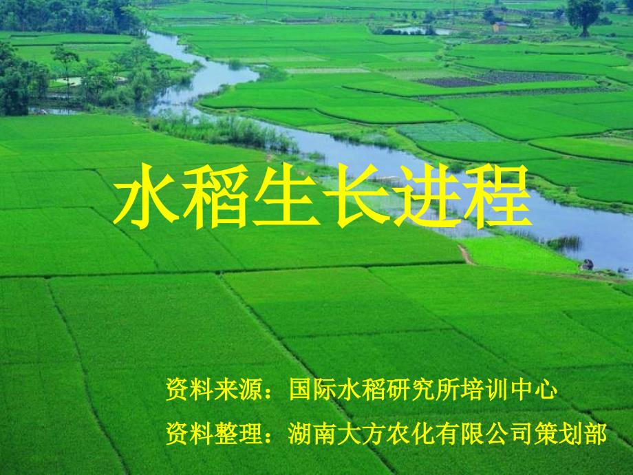 水稻生长进程 (湖南大方农化整理)_第2页