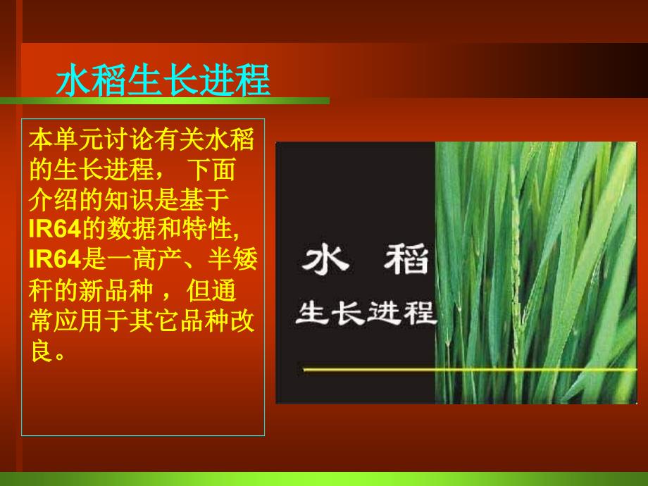 水稻生长进程 (湖南大方农化整理)_第3页