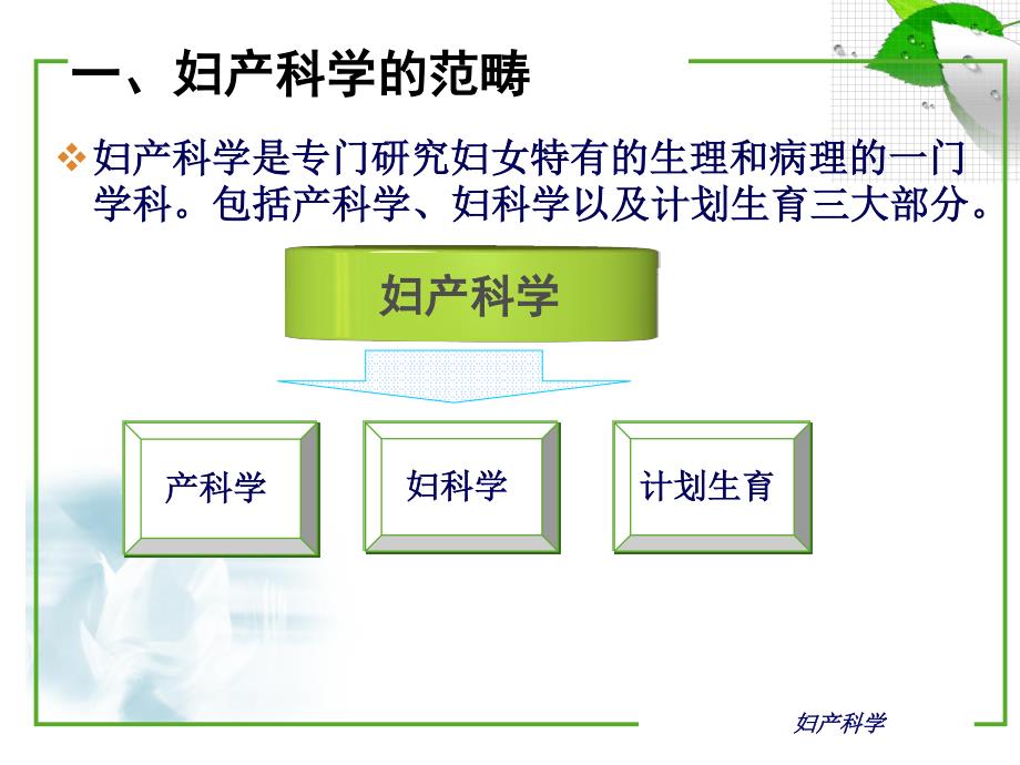 妇产科学绪论_第3页