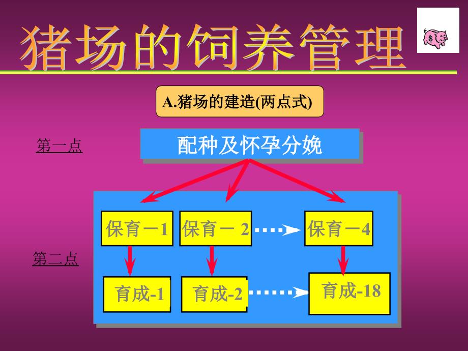 猪场的饲养管理_第4页