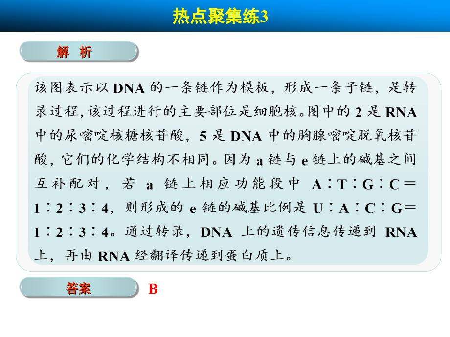 高考生物(北师大版)一轮复习 遗传的物质基础热点聚集练_第4页