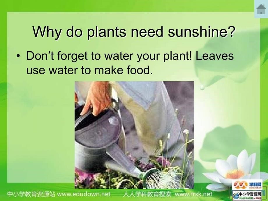 冀教版英语八下《unit 2 plant a plant》（lesson 11）课件_第5页