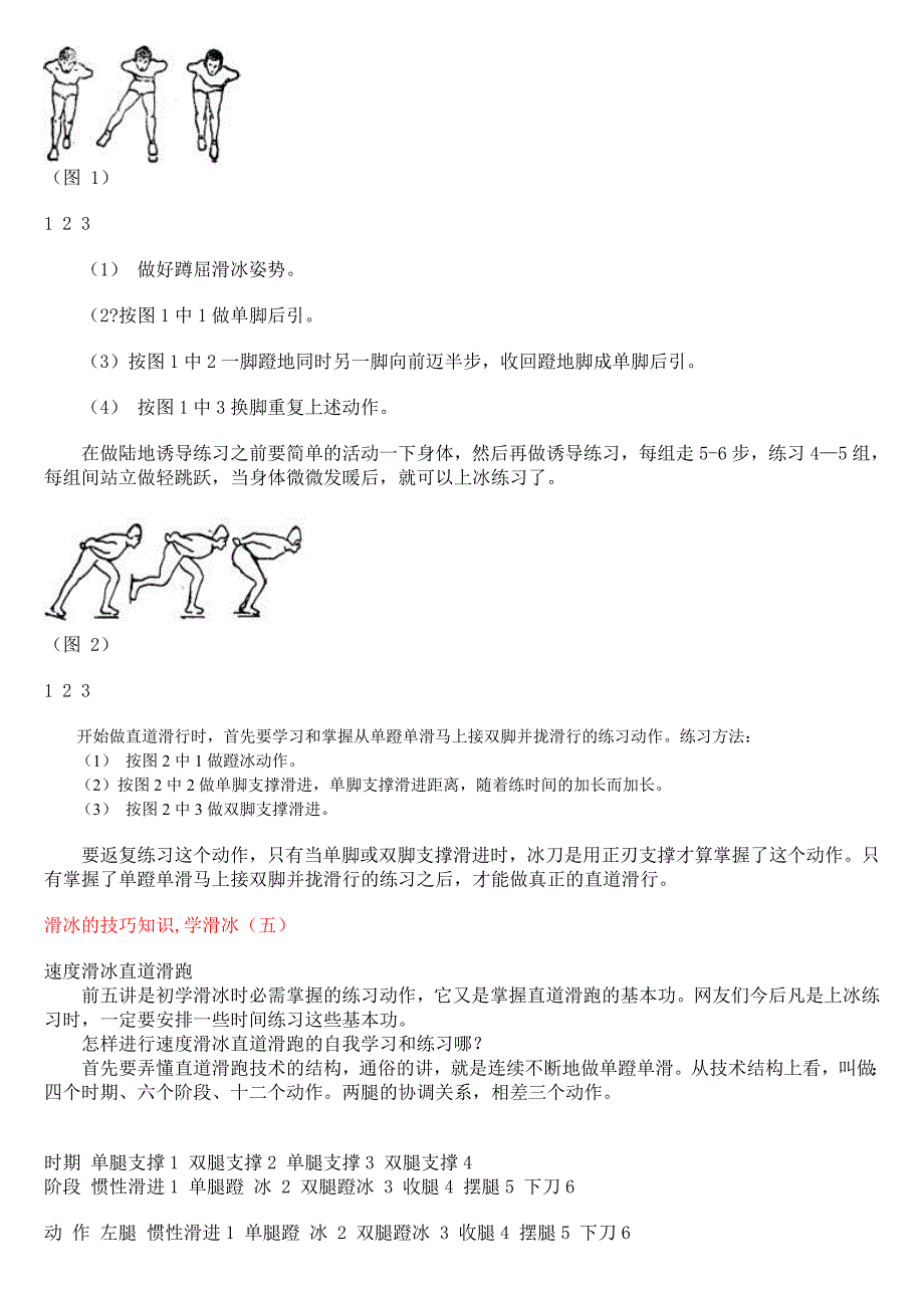 溜真冰的基本技巧_第3页