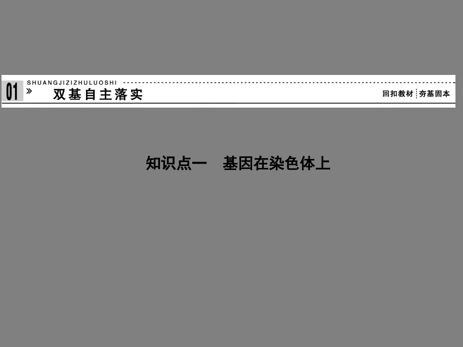 高中生物复习基因在染色体上 伴性遗传 新人教版必修2_第2页