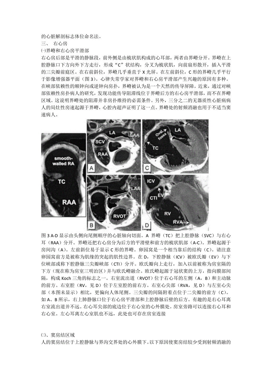 心脏射频消融术的x线解剖定位_第3页