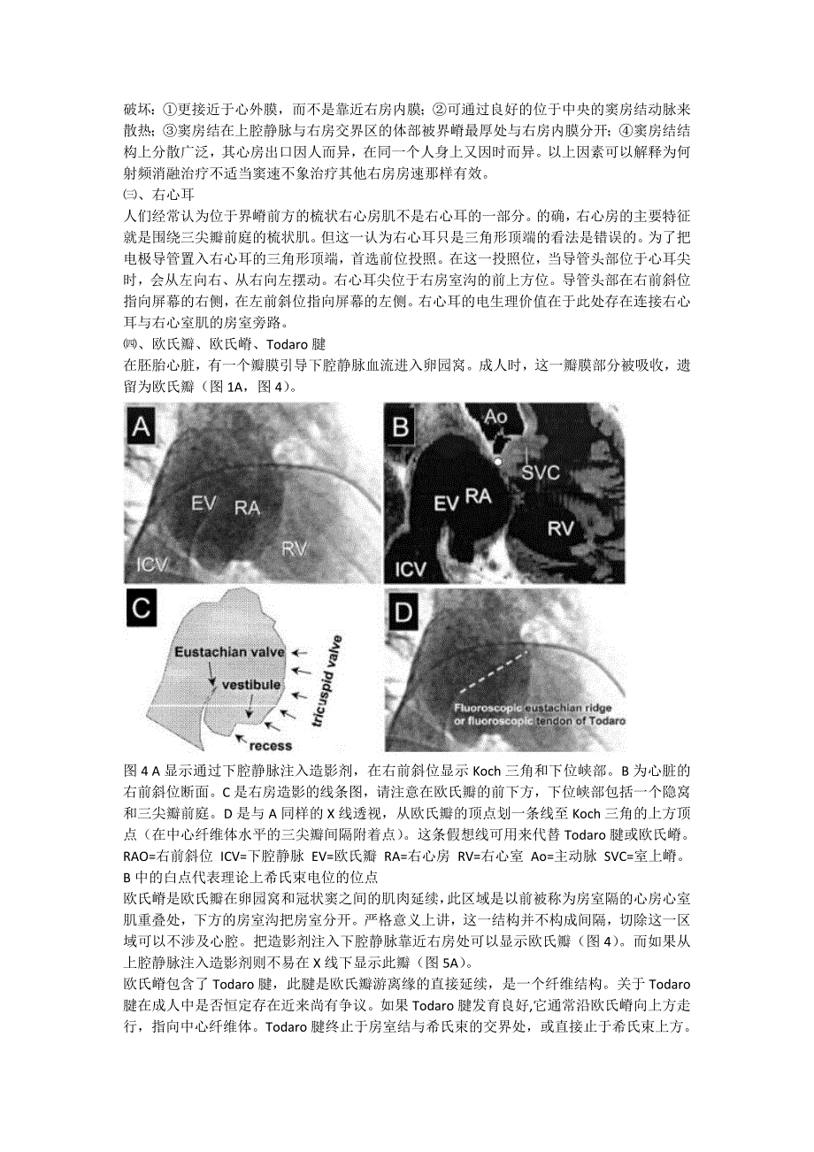 心脏射频消融术的x线解剖定位_第4页