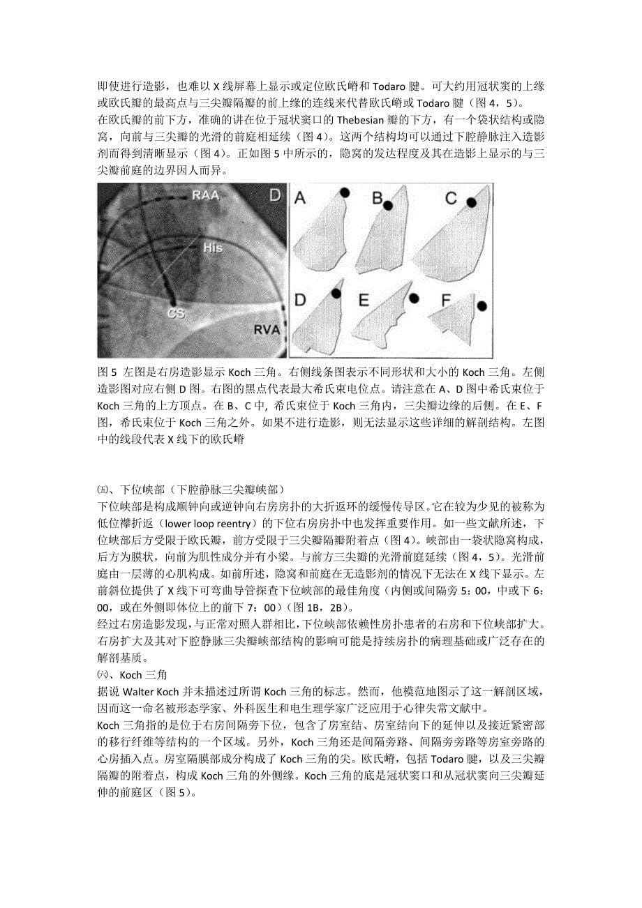 心脏射频消融术的x线解剖定位_第5页