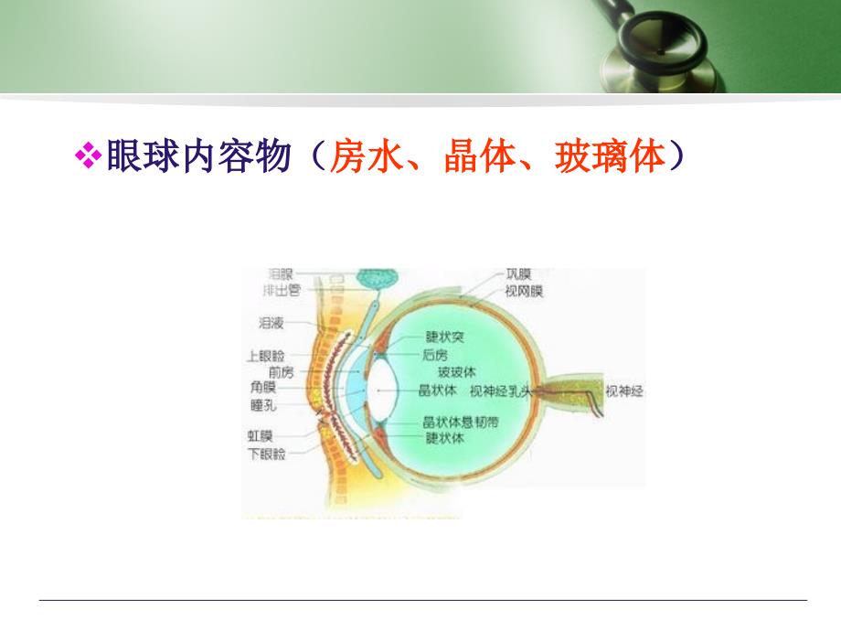 青光眼病人的护理_第4页