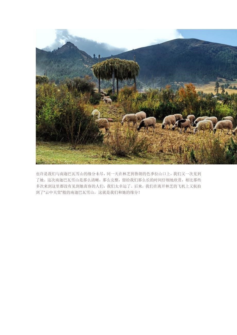 游记-最后的人间天堂-藏东南之旅_第5页