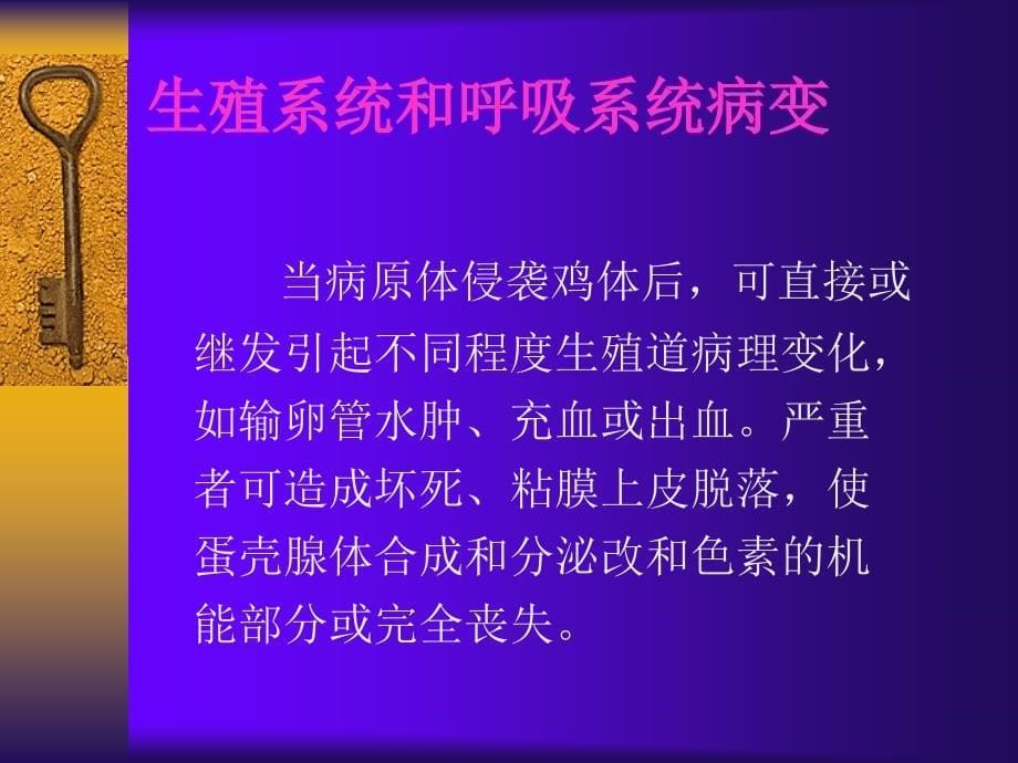 褐壳蛋鸡蛋壳的着色_第5页