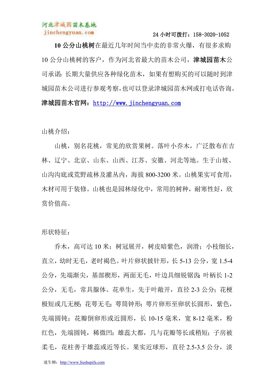 10公分山桃树价格 - 津城园苗木_第1页