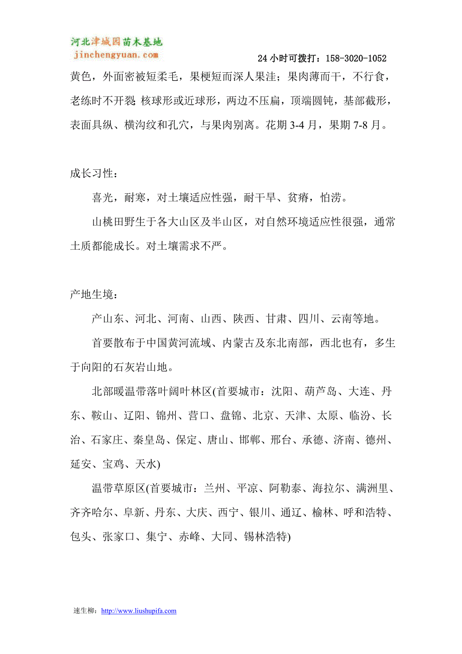 10公分山桃树价格 - 津城园苗木_第2页