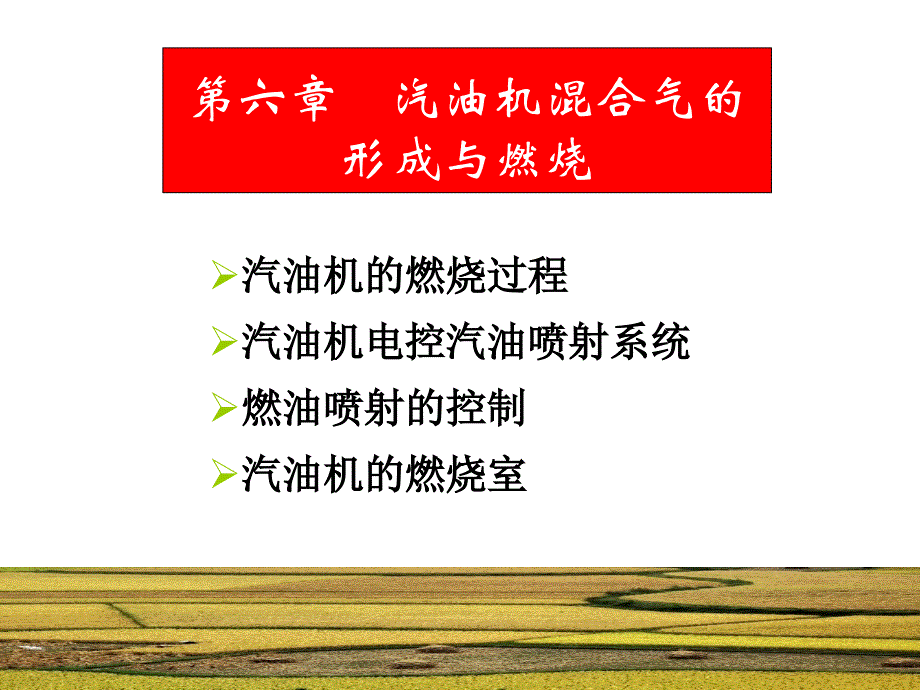 汽油机混合气的形成与燃烧_第1页