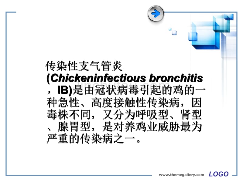 传染性支气管炎预防_第3页