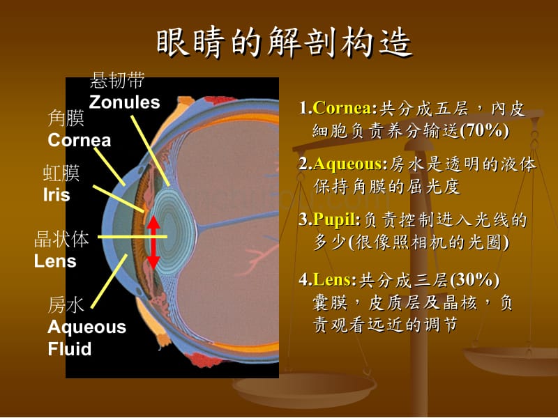 白内障成因及治疗_第2页