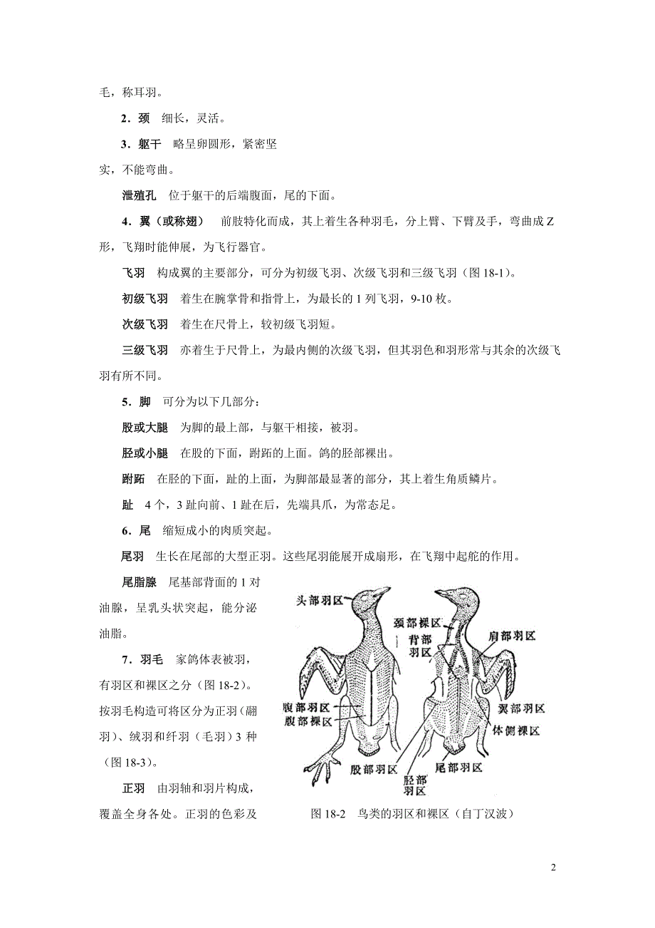 实验18 家鸽的外形与解剖_第2页