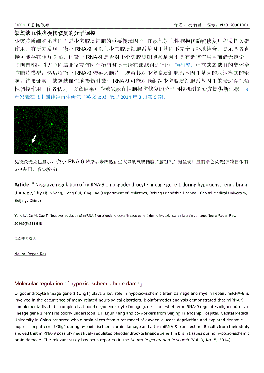 缺氧缺血性脑损伤修复的分子调控_第1页