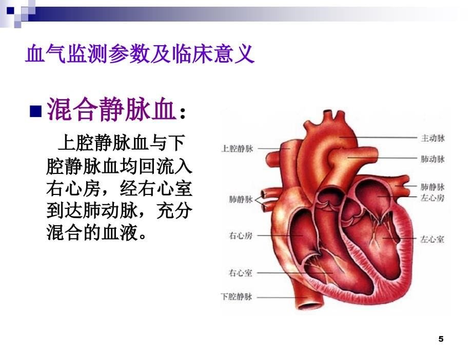 血液气体监测课件_第5页