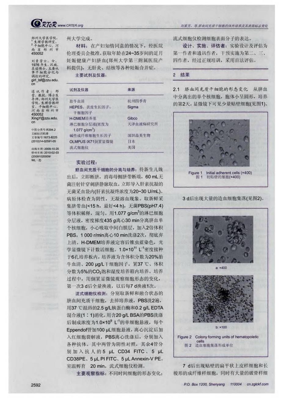 脐血间充质干细胞的体外培养及其表面标志变化_第2页