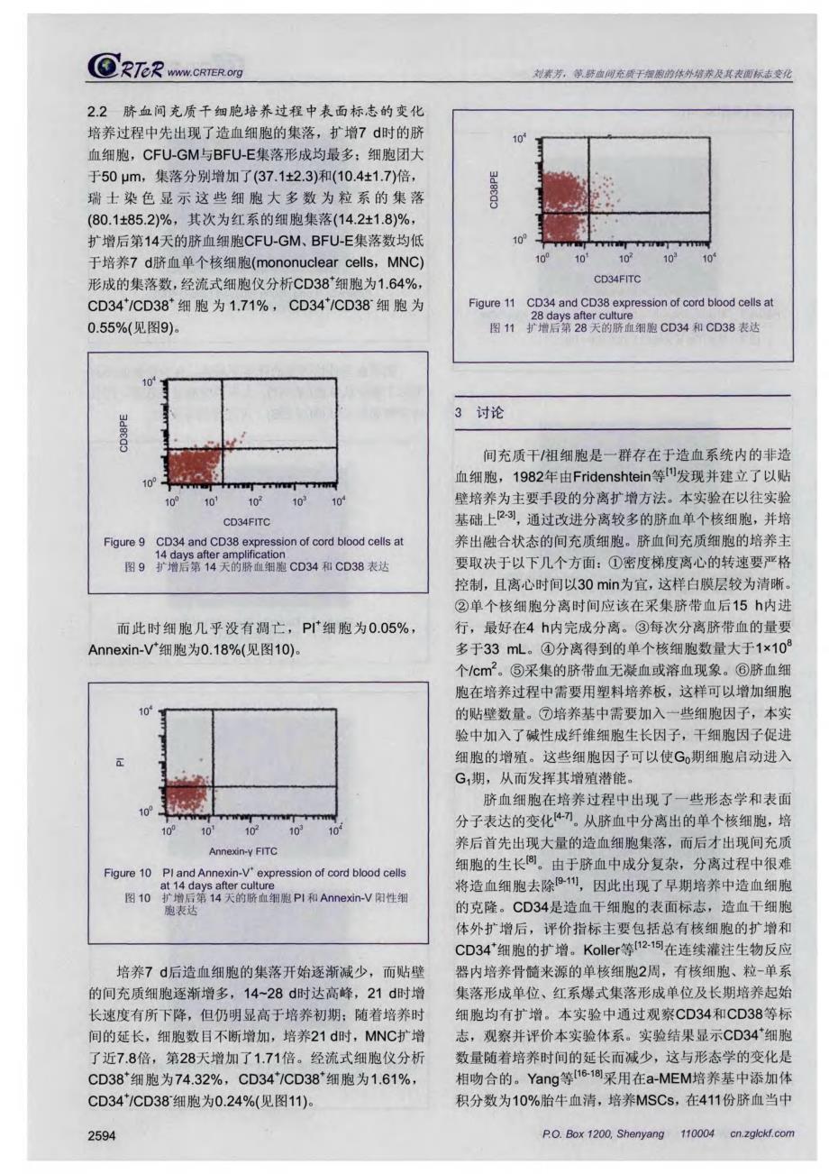 脐血间充质干细胞的体外培养及其表面标志变化_第4页