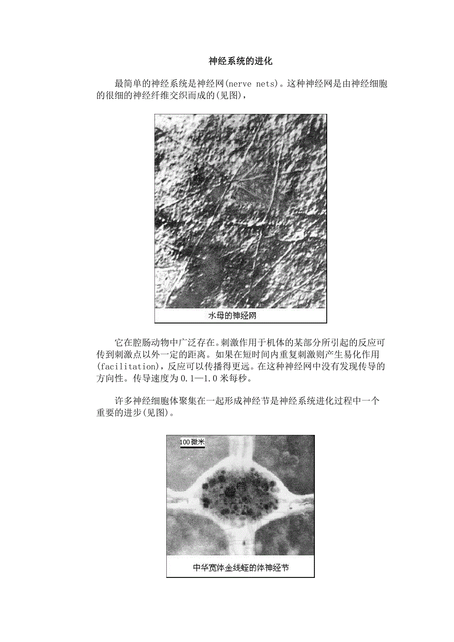 生物——神经系统的进化)_第1页