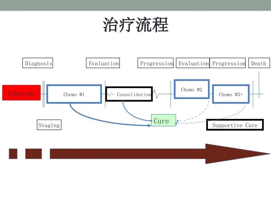 脂质体阿霉素在复发性卵巢癌治疗中的合理应用_第5页